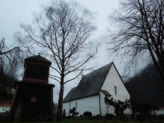 Foto niedrigwinkelansicht von häusern und silhouetten von bäumen im dorf