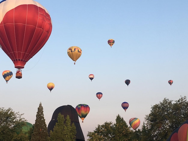 Niedrigwinkelansicht von Heißluftballons gegen den Himmel