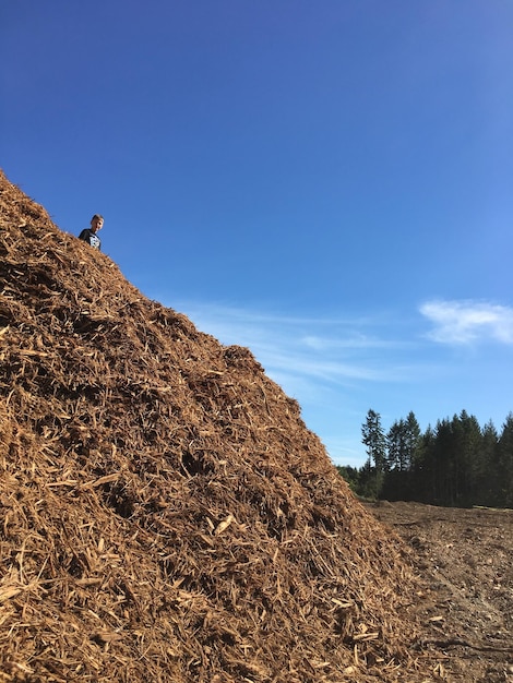 Niedrigwinkelansicht von Heuballen auf dem Feld gegen den Himmel