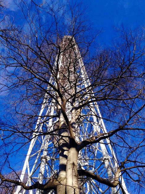 Foto niedrigwinkelansicht von nackten bäumen vor blauem himmel