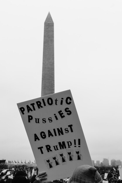 Foto niedrigwinkelansicht von patriotischen pussy gegen trump gegen lincoln memorial