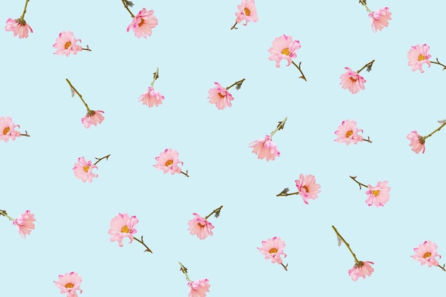 Niedrigwinkelansicht von rosa Blumen gegen den Himmel