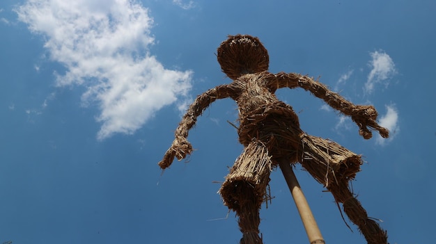 Foto niedrigwinkelansicht von seil, das an einem baum gegen den himmel gebunden ist