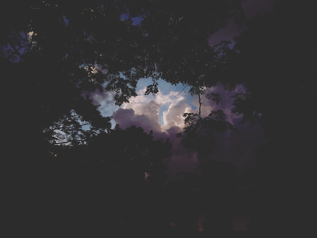 Foto niedrigwinkelansicht von silhouetten von bäumen vor bewölktem himmel