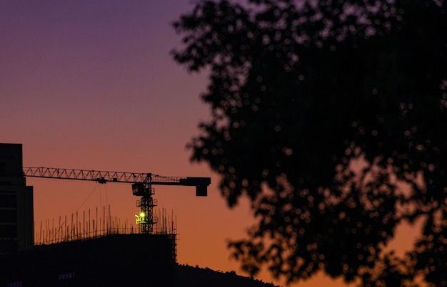 Niedrigwinkelansicht von Silhouettenbäumen gegen den Himmel bei Nacht