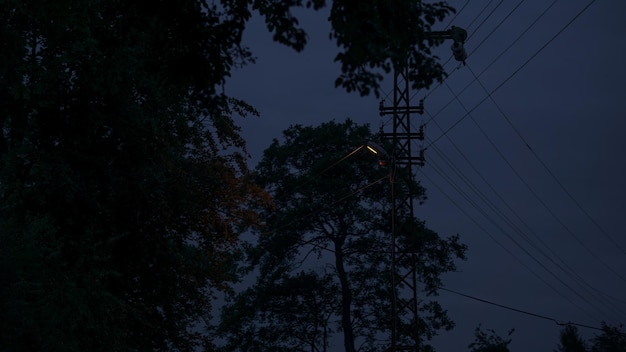 Foto niedrigwinkelansicht von silhouettenbäumen gegen den himmel in der dämmerung