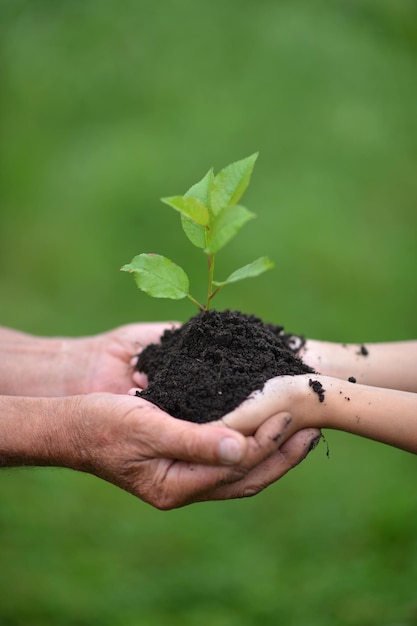 Nieta y abuela con planta