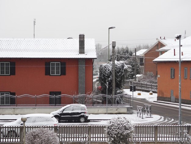 Nieve en el árbol y el techo