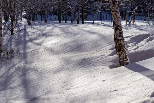 Nieve entre los árboles. Invierno nevado en Siberia.