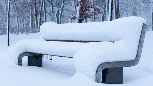 Nieve en un banco en el parque del concepto de invierno