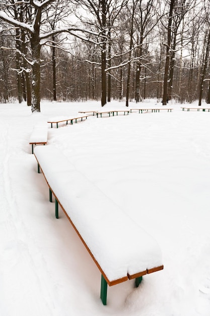 Foto nieve en bancos en el parque de la ciudad