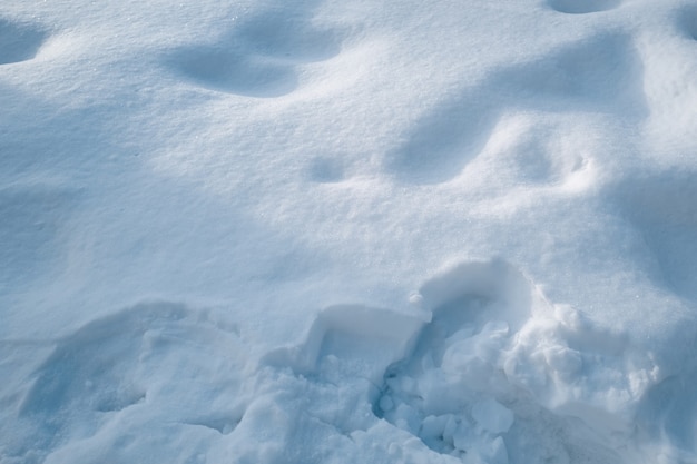 Nieve blanca y esponjosa. Fondo de invierno. Tiempo de navidad y año nuevo