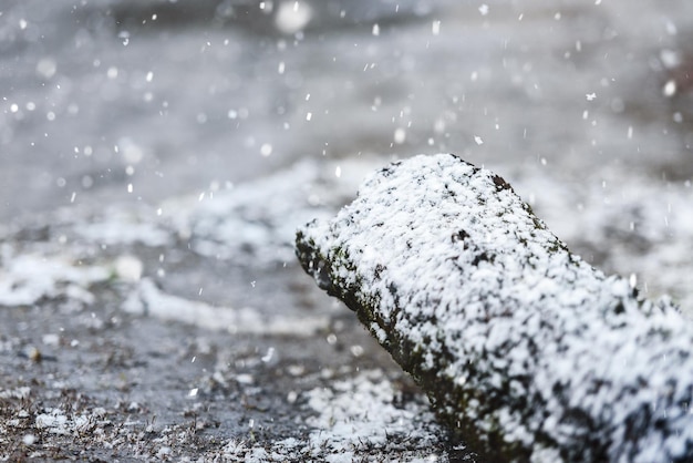 Foto la nieve cae una primavera fría y el regreso de las heladas