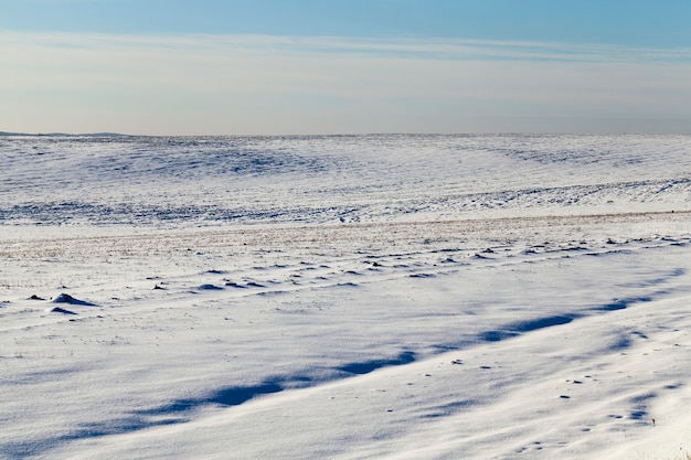 Nieve en el campo