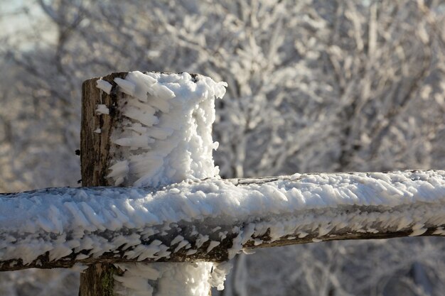 Nieve congelada en cercas de madera