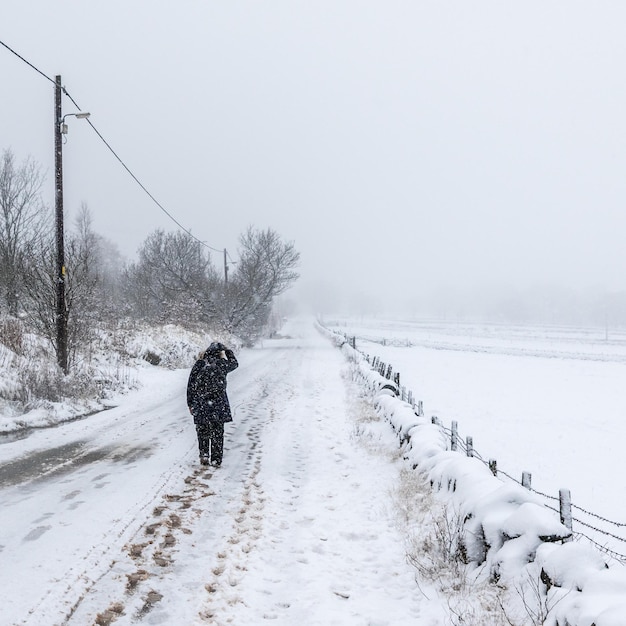 La nieve cubre las carreteras