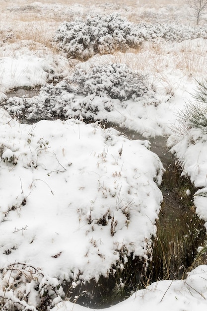 La nieve cubre el paisaje de Yorkshire, Reino Unido