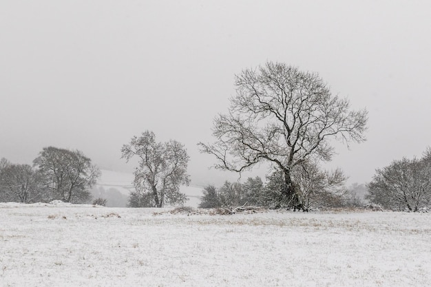 La nieve cubre el paisaje de Yorkshire, Reino Unido