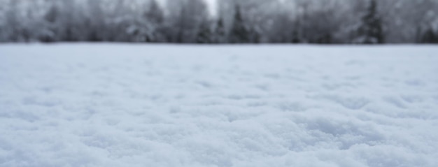 la nieve de fondo