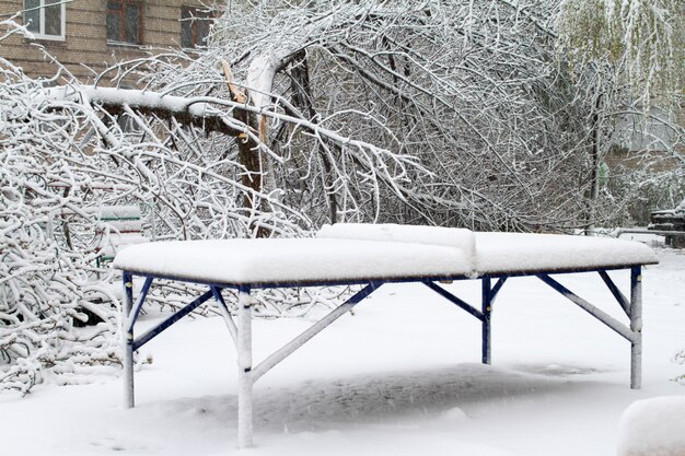 La nieve ha caído bruscamente en la primavera.