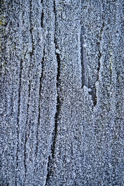 nieve y hielo en el fondo de madera, días blancos y fríos