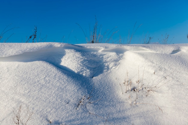 Nieve en invierno helada y fría, naturaleza después de nevadas y ventiscas, ventiscas profundas de nieve blanda en invierno