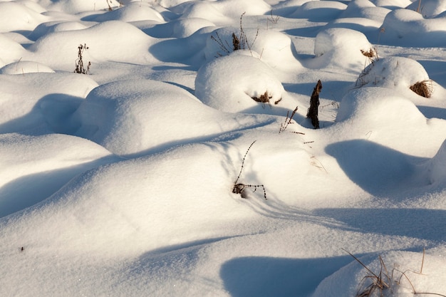 nieve en invierno