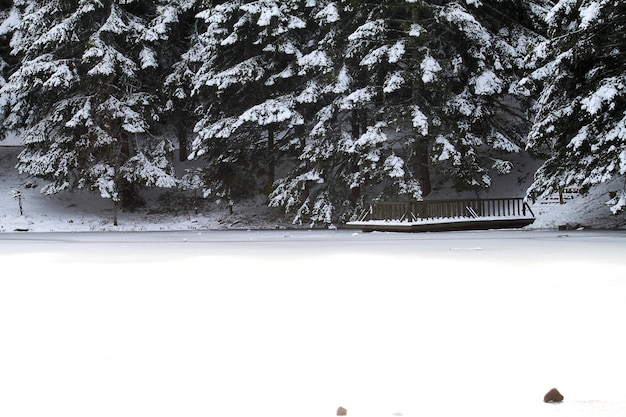 nieve en el lago