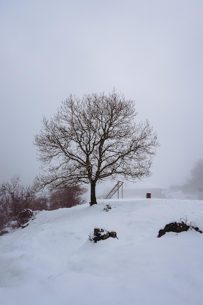 nieve en la montaña en temporada de invierno