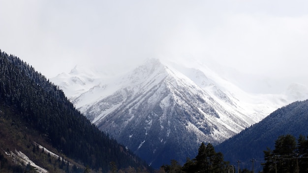 Nieve y montañas