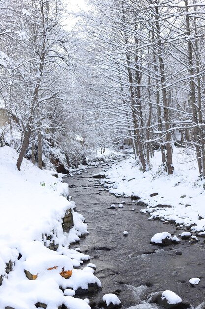 nieve paisaje trabzon turquía