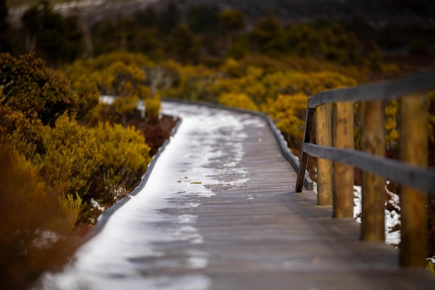 Nieve en un paseo marítimo en un parque nacional en australia en invierno