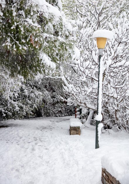 Foto nieve en la textura de fondo del parque naturaleza esmerilada vertical