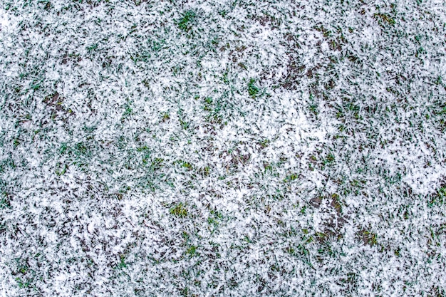 Nieve en la textura de la hierba