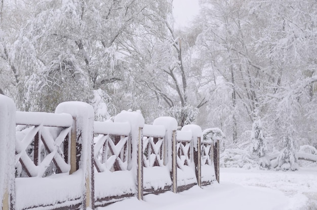 Nieve en una valla de madera como imagen de fondo del bosque