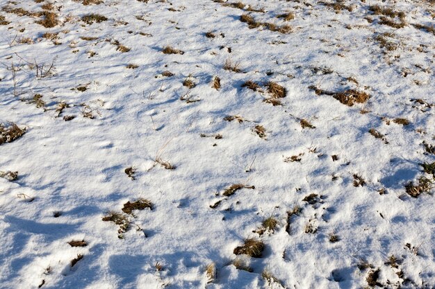 Nieve en ventisqueros después de la última nevada. Foto en invierno en el campo.