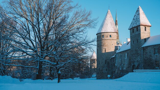 Nieve Vieja Tallinn, Estonia. Gran nevada en Tallin