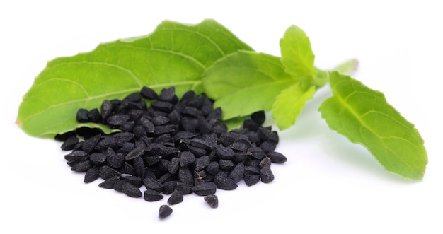 Nigella o comino negro con hojas medicinales de tulsi