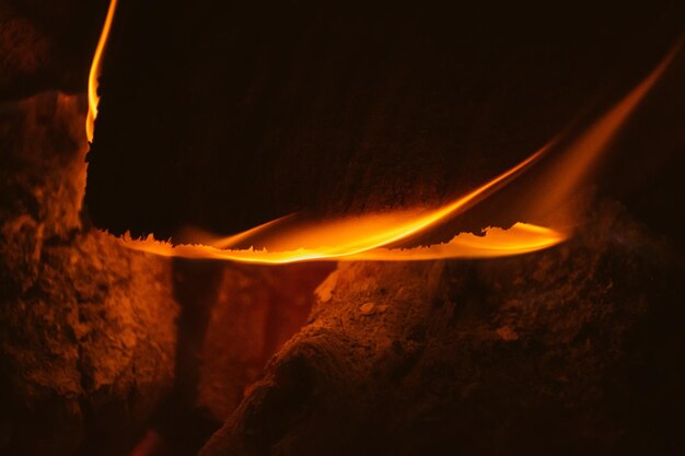 Foto nighttime blaze die strahlende wärme eines knisternden lagerfeuers