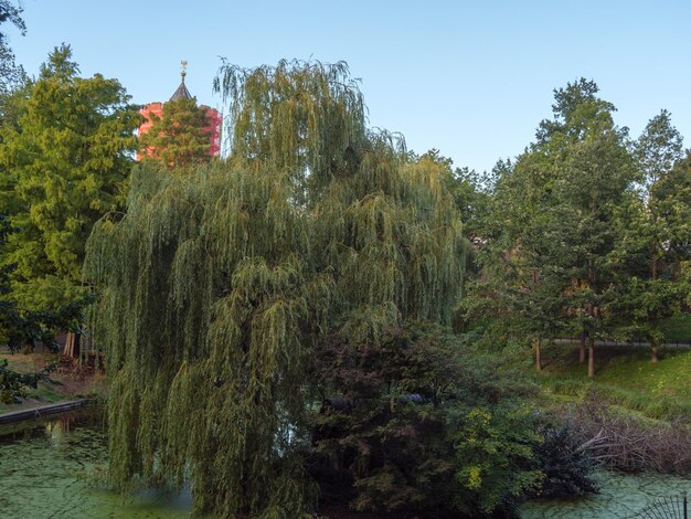 Nijmegen in den Niederlanden