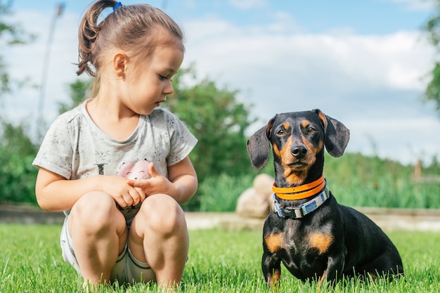 Niña 3-4 sentarse y mirar perro dachshund negro-marrón en el collar, sobre la hierba verde