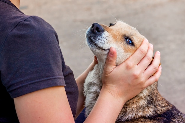 La niña abraza a un perro que la mira con mirada de confianza