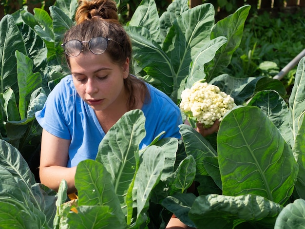 Niña agricultora en un jardín con coliflor quita y revisa la cosecha de repollo