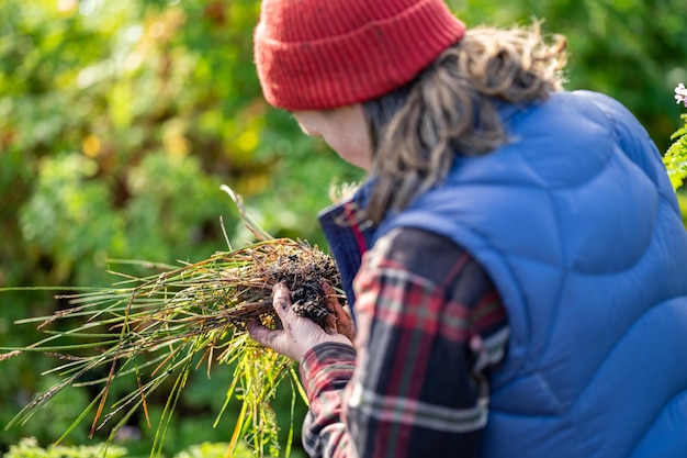 niña agricultora sosteniendo plantas en un campo en australia