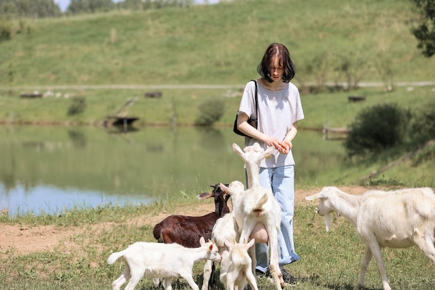 Niña se alimenta y juega con cabras en una granja