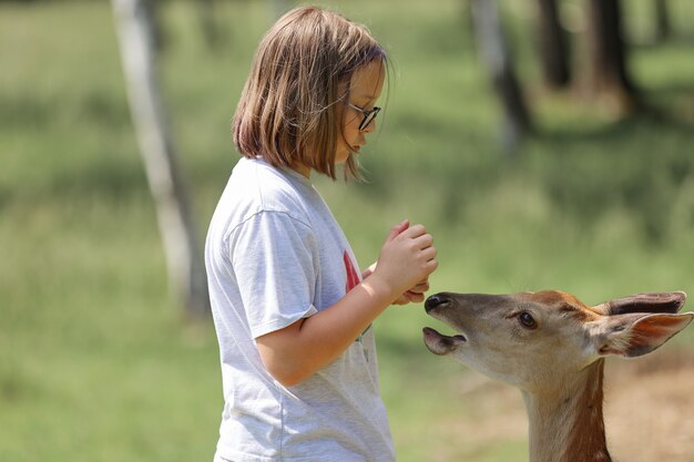 Una niña alimentando a bambi lindo ciervo manchado en el zoológico de mascotas. La muchacha feliz del viajero disfruta de socializar con animales salvajes en el parque nacional en verano. Bebé ciervo cervatillo jugando con personas en contacto zoológico