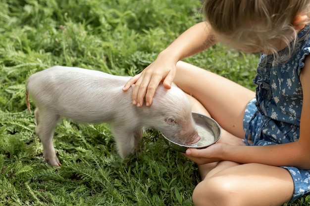 La niña alimentando a un lechón El concepto de amor por los animales.