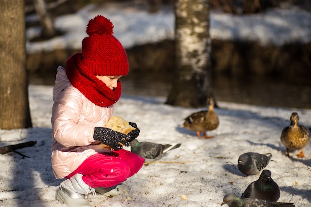 Niña alimentando patos en el invierno