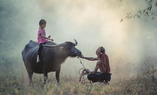 Niña asiática montando en búfalo y abuelo sin camisa y taparrabos de turbante caminando con búfalo en los campos a primera hora de la mañana, humo en el fondo y espacio de copia, escena rural del campo