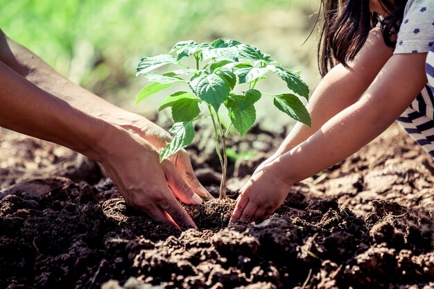 Niña asiática que ayuda a su padre a plantar el árbol en el jardín como concepto de salvar el mundo